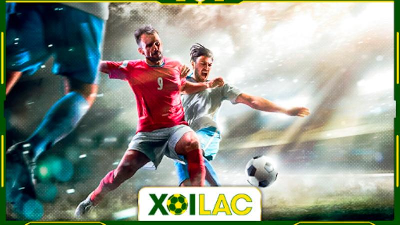 xoi-lac-link